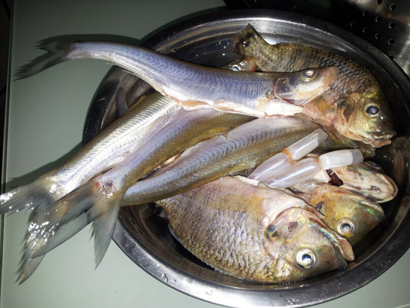 鱼饵盈龙爆炸钩饵料鲤鱼草鱼专用青鱼鲢鳙野钓通杀鱼饵评测质量好吗,良心点评配置区别？