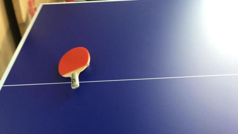 乒乓球桌红双喜DHSE-T3616评测真的很坑吗？一定要了解的评测情况？