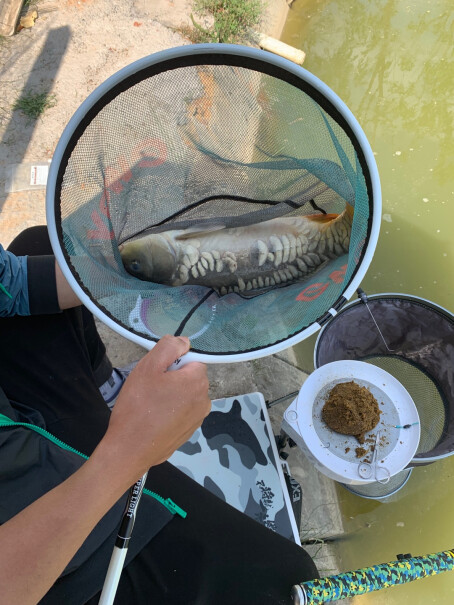 达摩浮漂芦苇逸系列鱼漂高灵敏综合混养加粗尾近视醒目浮标2号吃铝多少克？