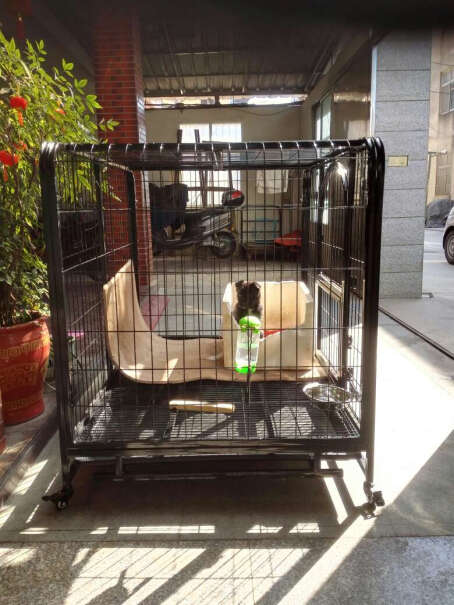 笼子-围栏狗笼中型犬大型犬狗笼子来看看买家说法,功能真的不好吗？