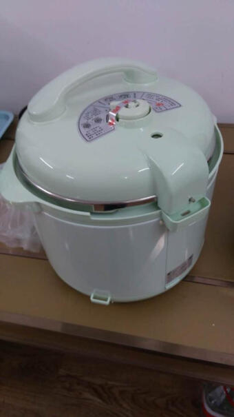 洛贝阿迪锅电压力锅5升高压锅双胆PP10这个阿迪锅是什么颜色的？纯白色还是银色的？