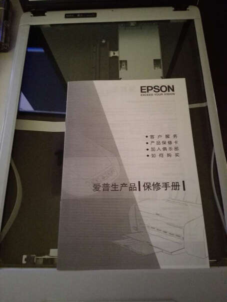 爱普生DS-310紧凑型A4馈纸式扫描仪这个不能白条吗？