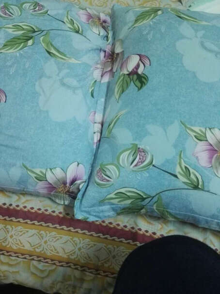 恒源祥家纺纯棉印花枕头套全棉枕套枕芯套一对此款就一种花色吗？