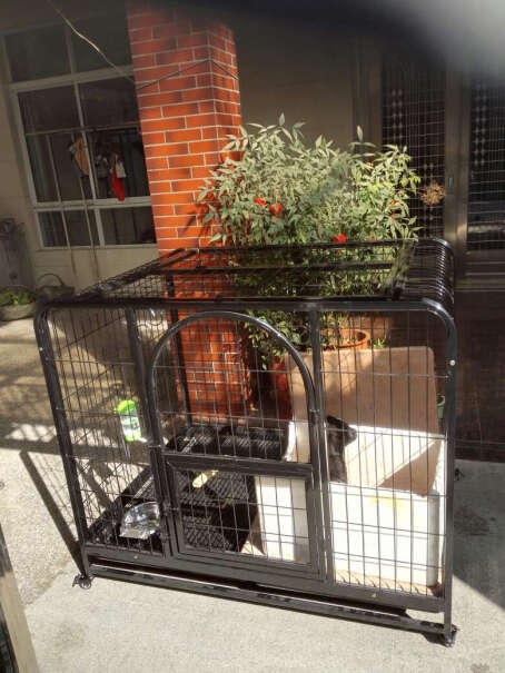笼子-围栏狗笼中型犬大型犬狗笼子来看看买家说法,功能真的不好吗？