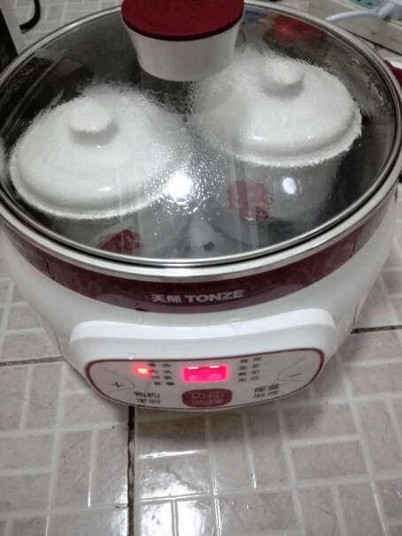 天际TONZE电炖锅炖锅燕窝炖盅这个电炖锅是快烧的还是慢烧的？