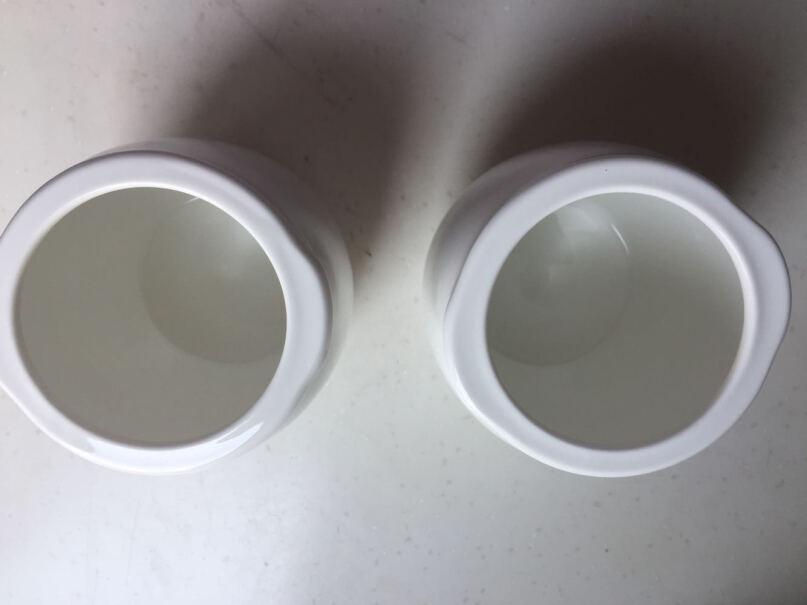 九阳电炖锅白瓷燕窝隔水炖盅全自动陶瓷家用D-18G1白色可以煮么？