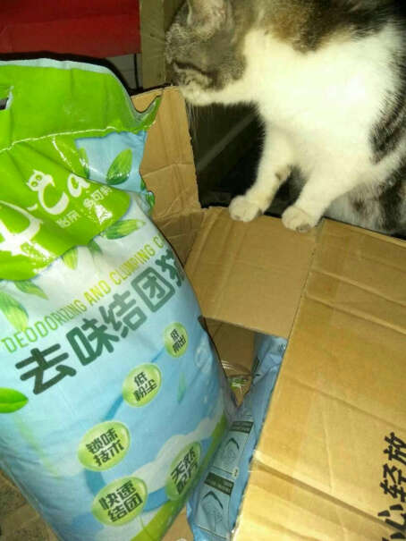 怡亲猫砂膨润土猫砂10kg猫沙20斤除臭去味低粉尘十公斤不是怡亲的吗，评价晒图怎么都是其他牌子的猫砂？