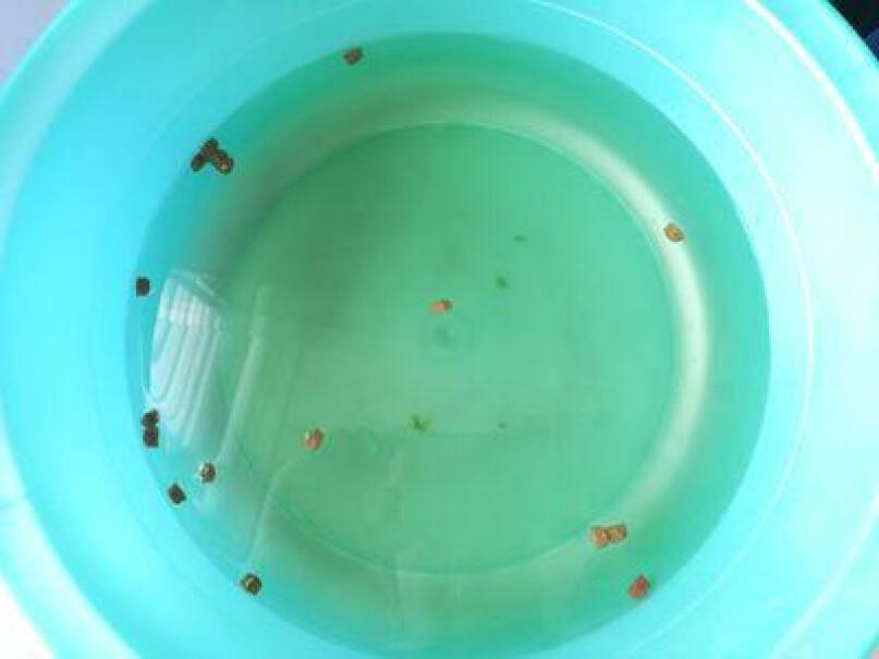 LIFELINE命脉幼龟粮我家的小龟把龟粮咬碎，感觉没吃几口，水还脏了，怎么回事？