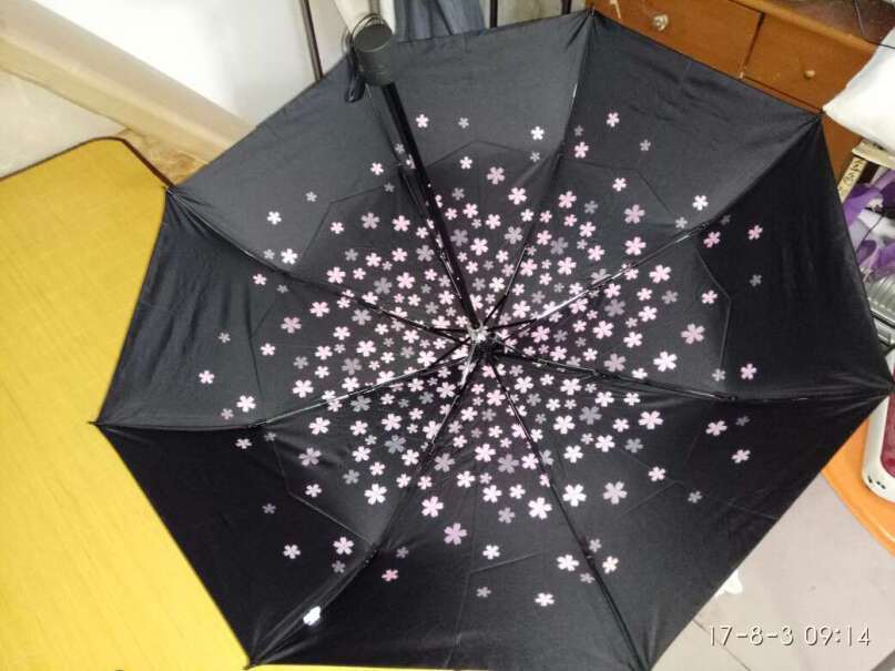 C'mon小樱花伞撑起来伞里面的温度高嘛，热不热？
