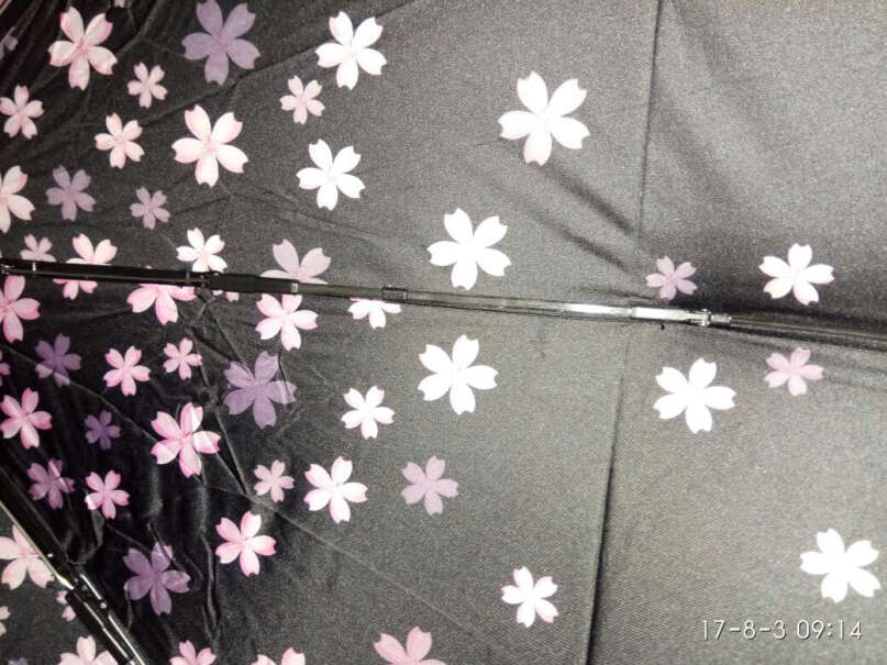 C'mon小樱花伞撑起来伞里面的温度高嘛，热不热？