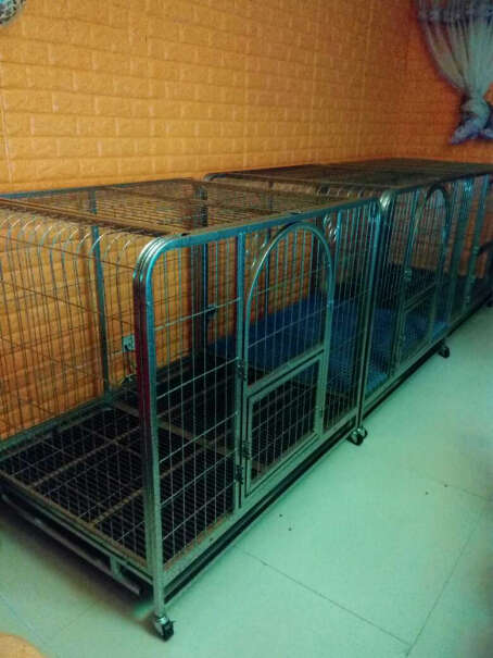 狗笼中型犬大型犬狗笼子古牧能用到成年吗？