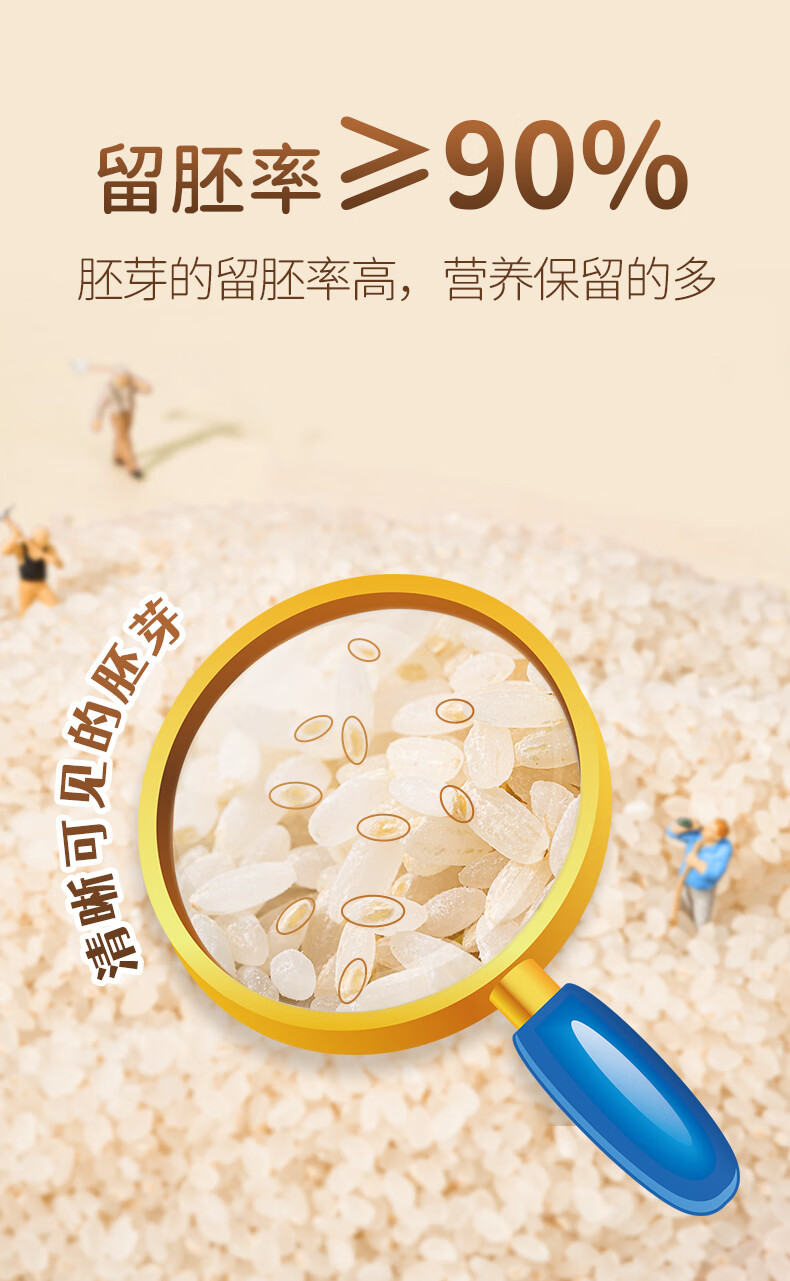 米小芽 胚芽米谷物米营养大米粥450g