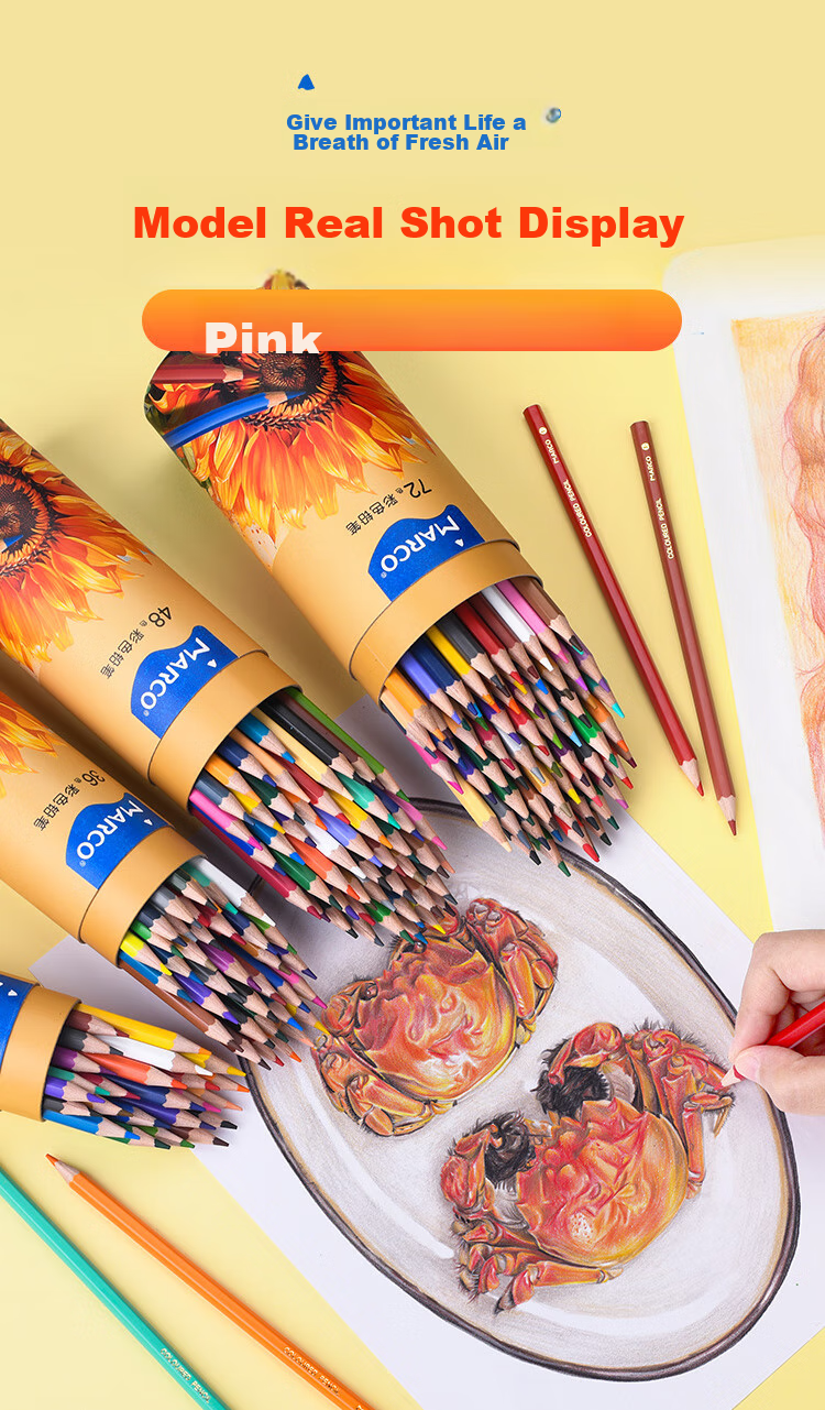 MARCO Oil-Based Erasable Colored Pencils, 36-Pack, for Students, Children, Boys And Girls, Beginner Drawing, Coloring, Art Supplies, Painting Tools, Art Materials, Birthday Gift, Back-To Set 2