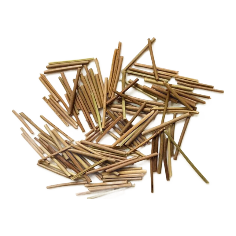 Dijing Tea Leaf Ear Sticks, Ear Piercing Earrings, Tea Leaf Rods, Anti-Clogging Invisible Tea Sticks, Ear Protection, Anti-Blocking for Sleeping, No Need to Remove When Just Getting Pierced Ears