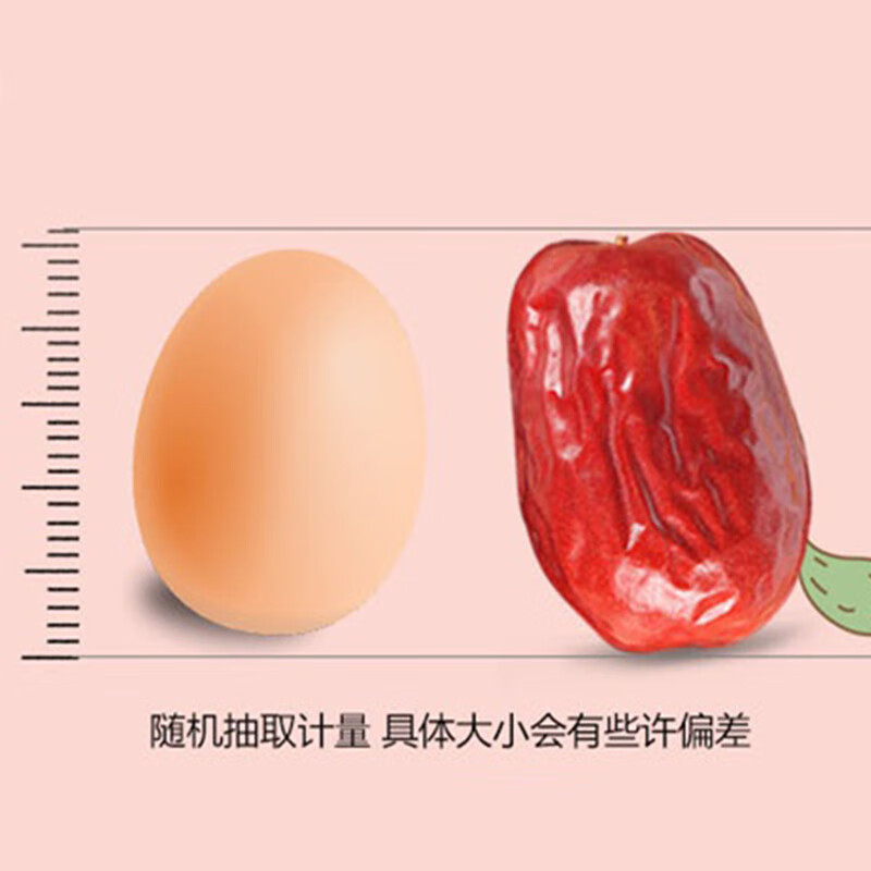 新边界新疆和田免洗大红枣1000g 2025新枣零食一级骏枣子特产零食果干