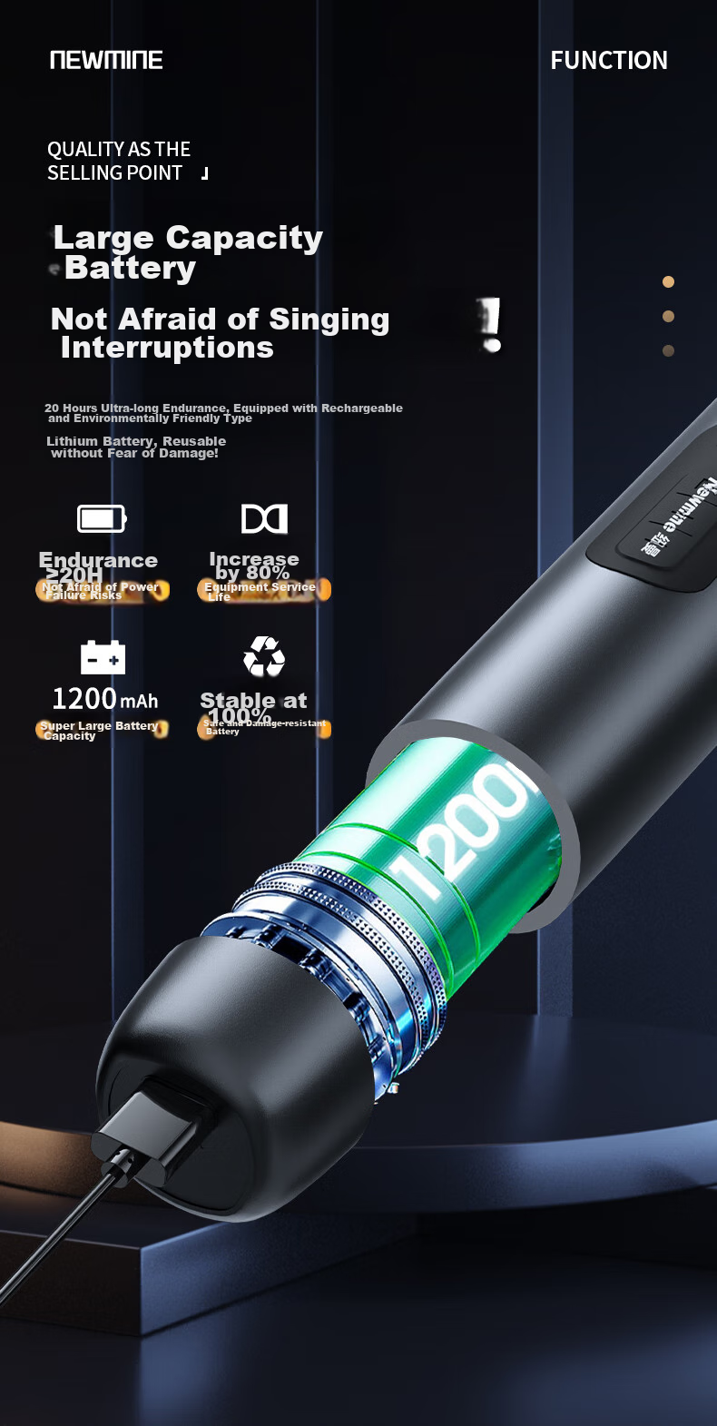 Newmine MC107 Wireless Microphone, Home KTV Singing, Hosting, Lecturing, Karaoke, Conference Speaker, Amplifier, FM Tunable, Universal Microphone, Single Mic 9