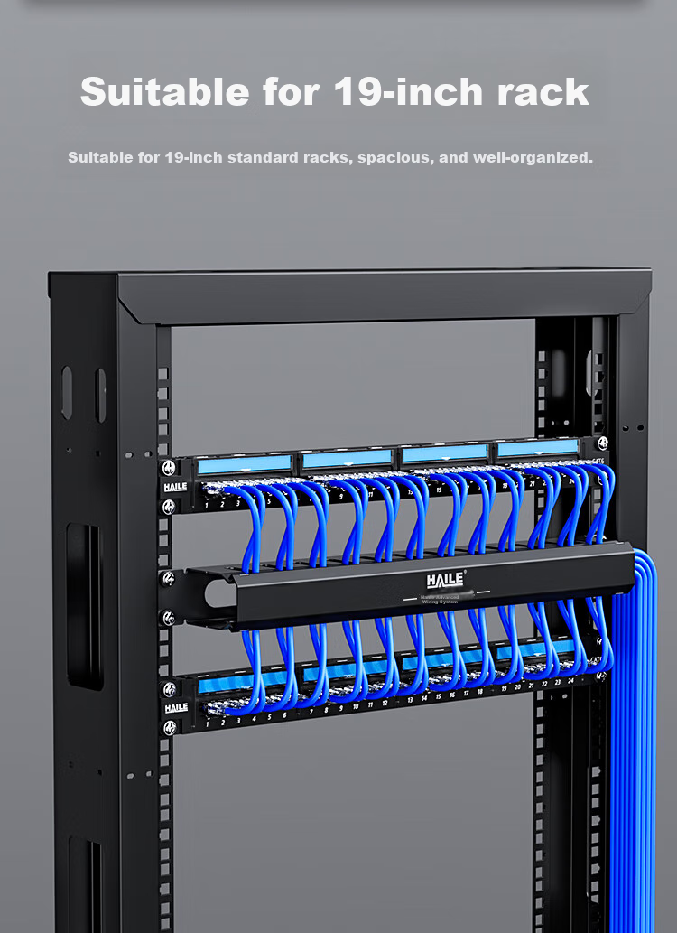 HAILE 12-Level 24-Slot Thickened Metal Cable Management Rack, 19-Inch 1U Rack-Mounted Cabinet, Finished Network Cable Organizer, HT-1U 2