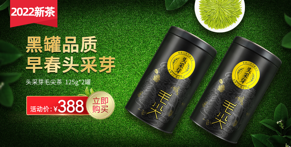 贵州黄金芽茶叶价格
