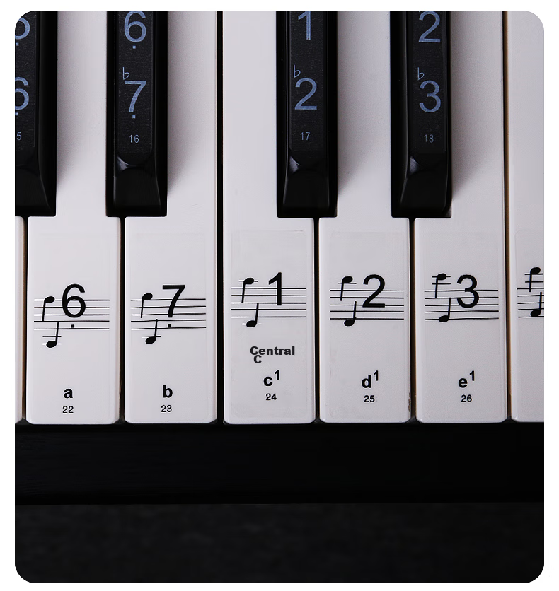 Maneryuepu Piano Keyboard Stickers for 88/61/54 Keys Electronic Keyboard Sticker, No Glue, Staff Paper, Simple Melody Instrument Accessories 12