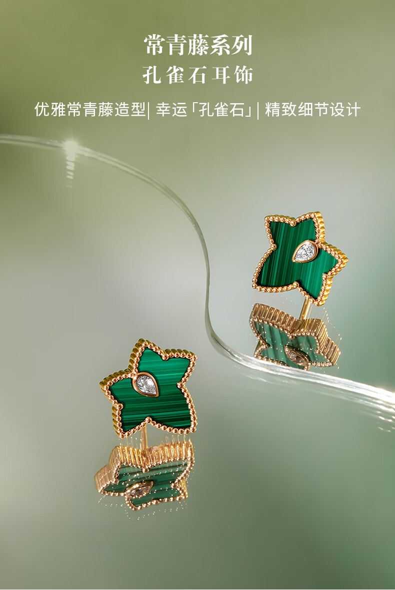 LOLA ROSE Evergreen Ivy Silver Stud Earrings, Elegant Birthday Gift for Wome 4