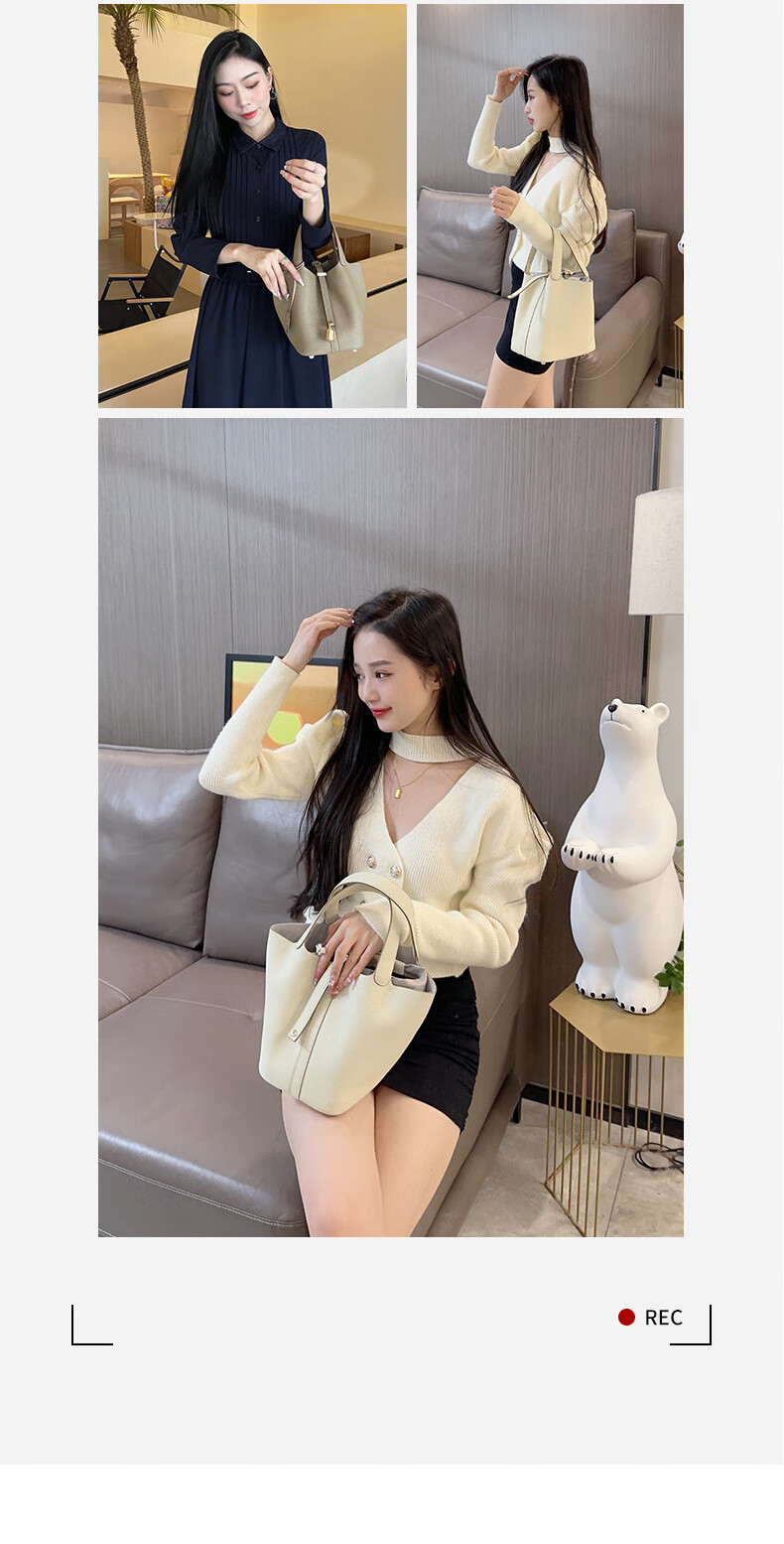 CASSILE Women's Handbag, Luxury Tote Bag with Large Capacity, Practical Water Bucket Bag, Perfect Gift for Wife on May 20th 7
