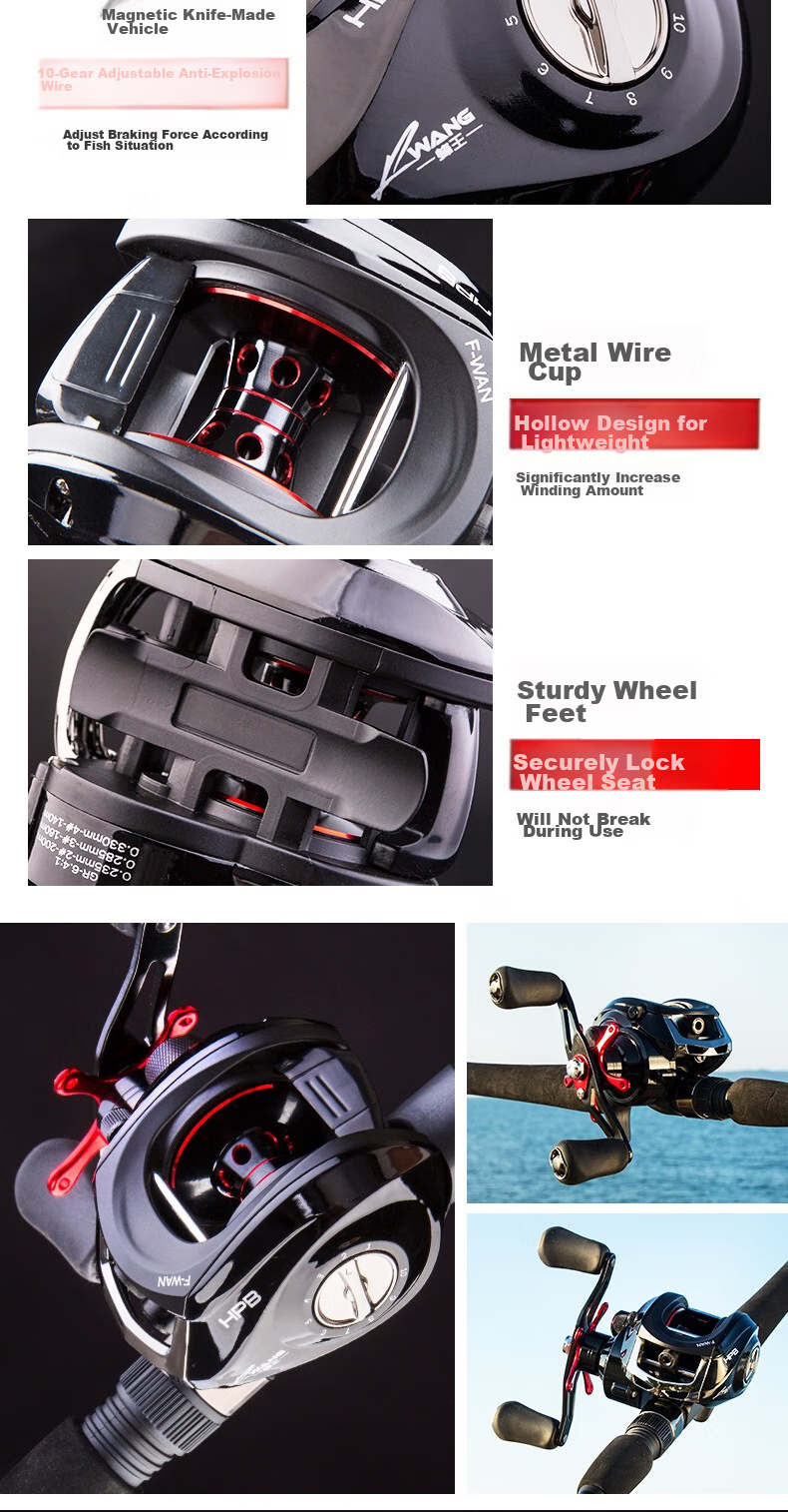 DAIWA Lure Rod Complete Set, MaRauder Spinning Rod, Carbon Fiber Casting Rod, 2.44m + Straight Handle + Spinning Reel + Lure Line 19