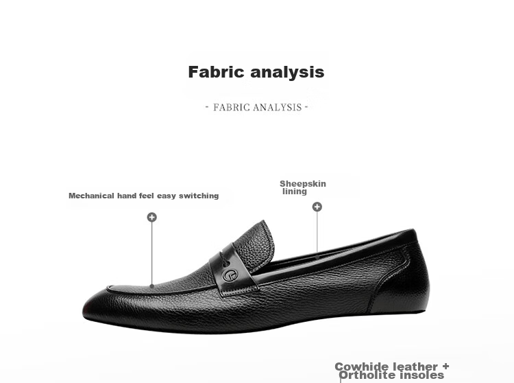 Goldlion Men's Shoes, Business Casual Shoes, Leather Shoes, Lightweight Comfortable Slip-On Loafers G521310324AAB - Black - Size 39 17