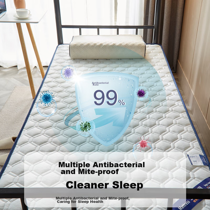 Wuyinliangpin Maternity And Infant Class A Antibacterial Mattress Pad for Dormitory Bunk Beds, Single Student Bed Cover, 90x190cm, Noble
