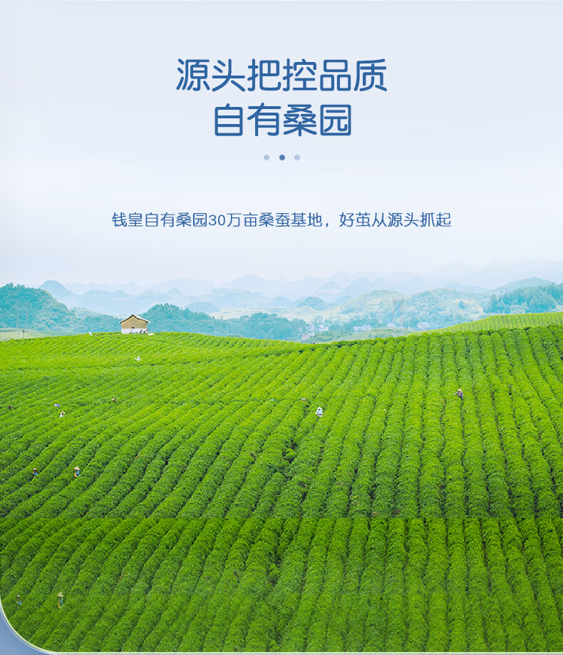 Qianhuang, Heart-Stirring Anti-Mite And Antibacterial Comforter, 100% Mulberry Silk, Spring And Autumn Quilt, Weight Approximately 4 Jin (2kg), 220*240cm, White 2