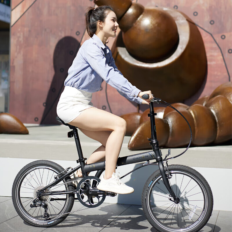大行（DAHON）折叠自行车20英寸8级变速经典P8单车KBC083 黑色高配款-京仓