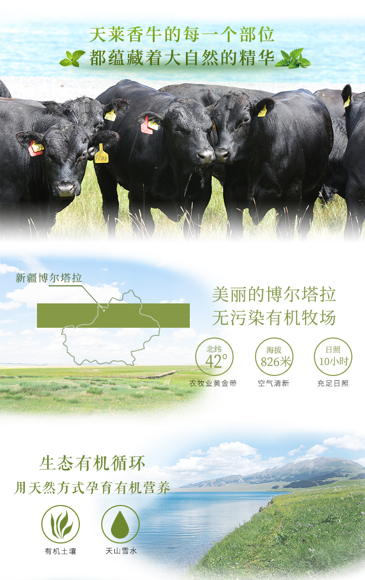 天莱香牛安格斯大黄瓜条烩扒 冷鲜肉 天莱香牛安格斯有机新鲜大黄瓜条500g 3袋新疆有机生鲜牛肉烧烤食材谷饲300天原切清真排酸 行情报价 天莱香牛安格斯大黄瓜条烩扒 冷鲜肉 天莱香牛安格斯有机新鲜大黄瓜条500g 3袋新疆有机生鲜牛肉烧烤食材谷饲300天原切清真排酸 行情报价