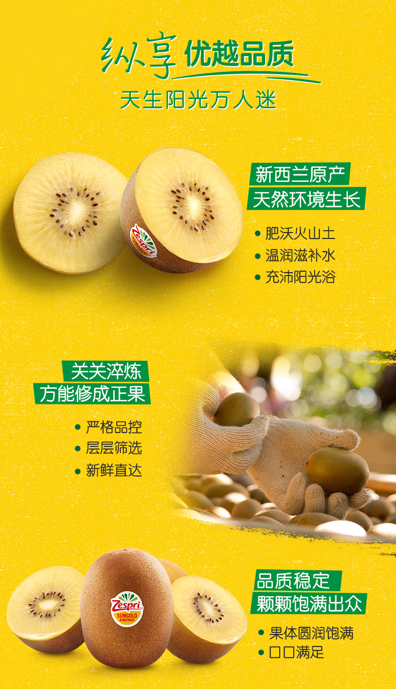 新西兰进口佳沛阳光金奇异果12个装单果约124145g