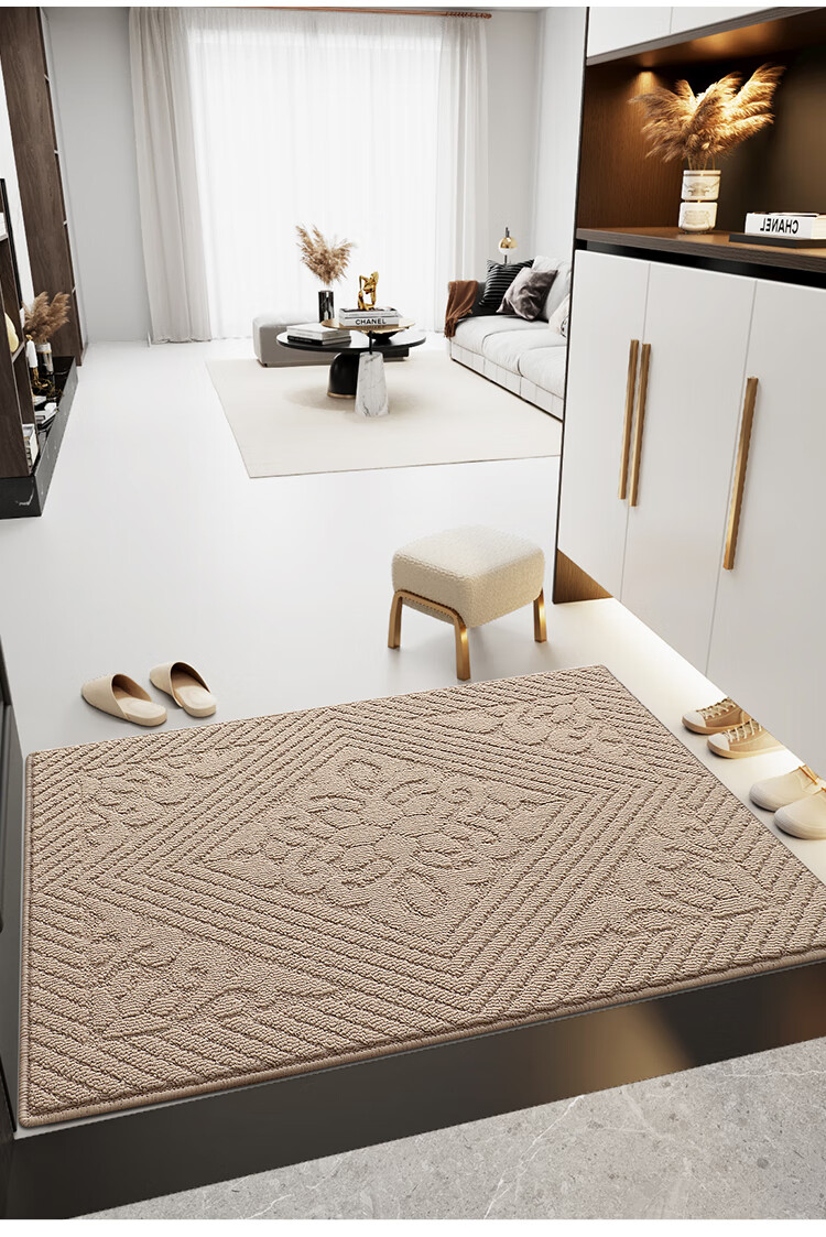 Dajiang Entrance Mat, Doorway Rug, Luxurious High-End Foyer Mat, Indoor Door Mat, Entrance Mat, 81x122cm 4