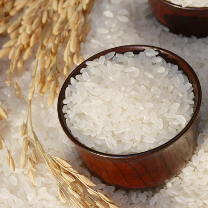 五稻田长粒香米 10斤 当季新米 东北大米 真空装