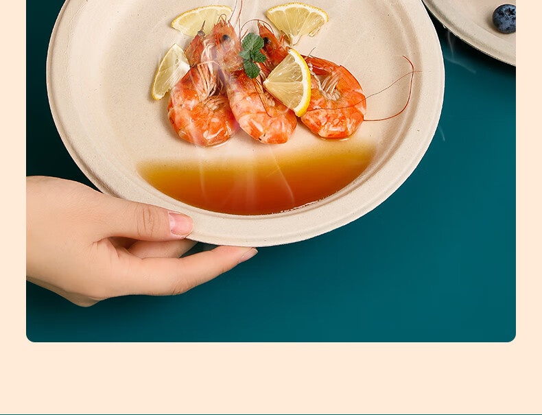 LANZIRAN Disposable Tableware Plates Large Size 9 Inch * 20 Pieces Natural Color Sugarcane Pulp Biodegradable Paper Plates for Picnic And Camping 9