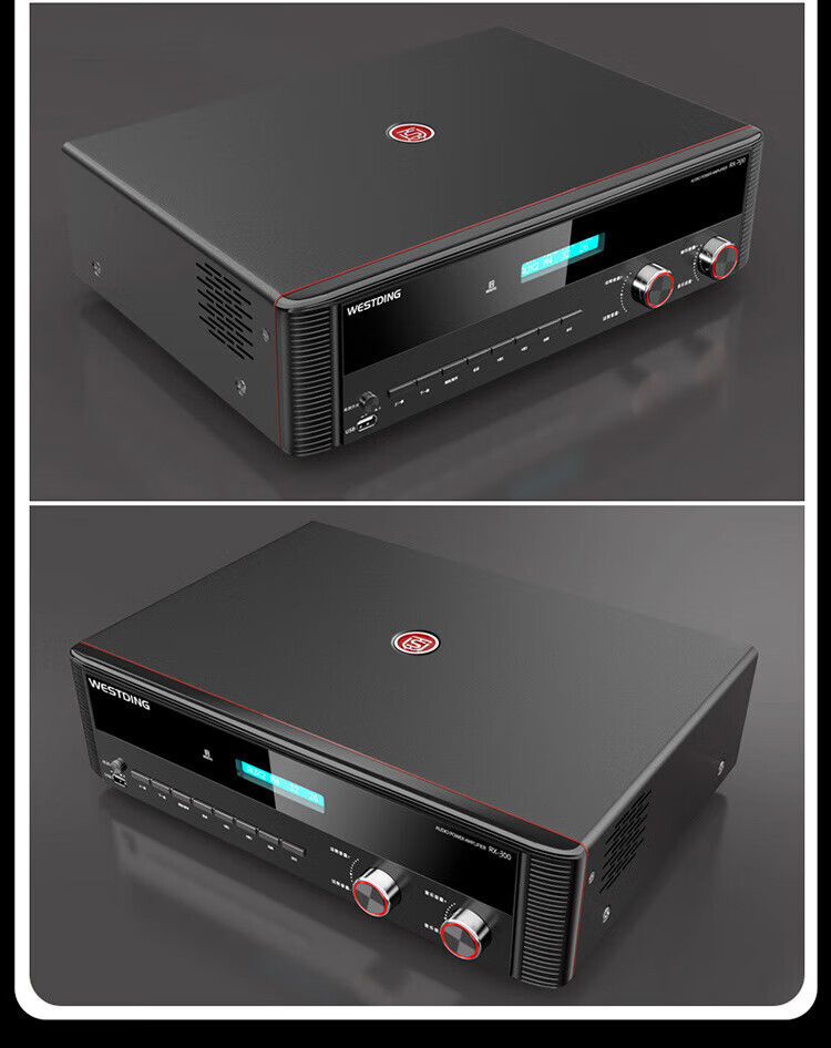 WESTDING Amplifier for Home Theater with Speaker Combination, 2.0 Channel, 1200W Peak Power, AK-393 Amplifier, One Unit 5