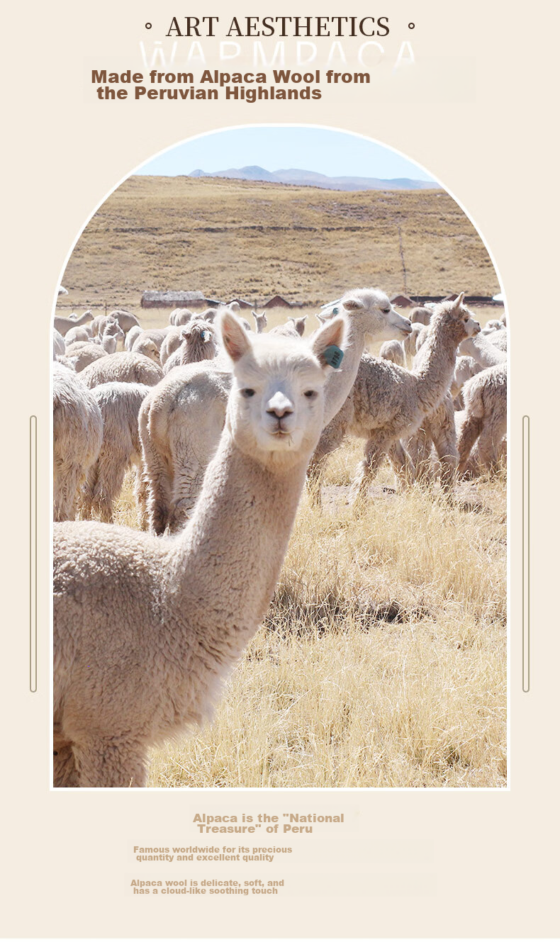 Warmpaca Alpaca Plush Toy, Stuffed Animal Pillow for Girls, Birthday Gift for Girlfriend 5