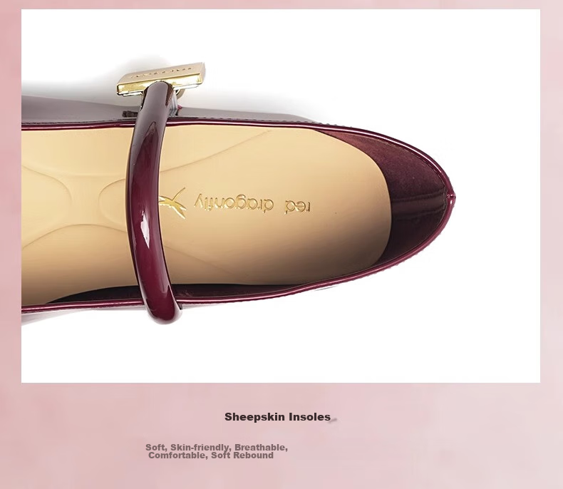 RED DRAGONFLY Mary Jane Women's Shoes Spring And Autumn French-Style Small Flats, Beautiful Retro Flat Leather Shoes WTB24600, Black, Size 37 7