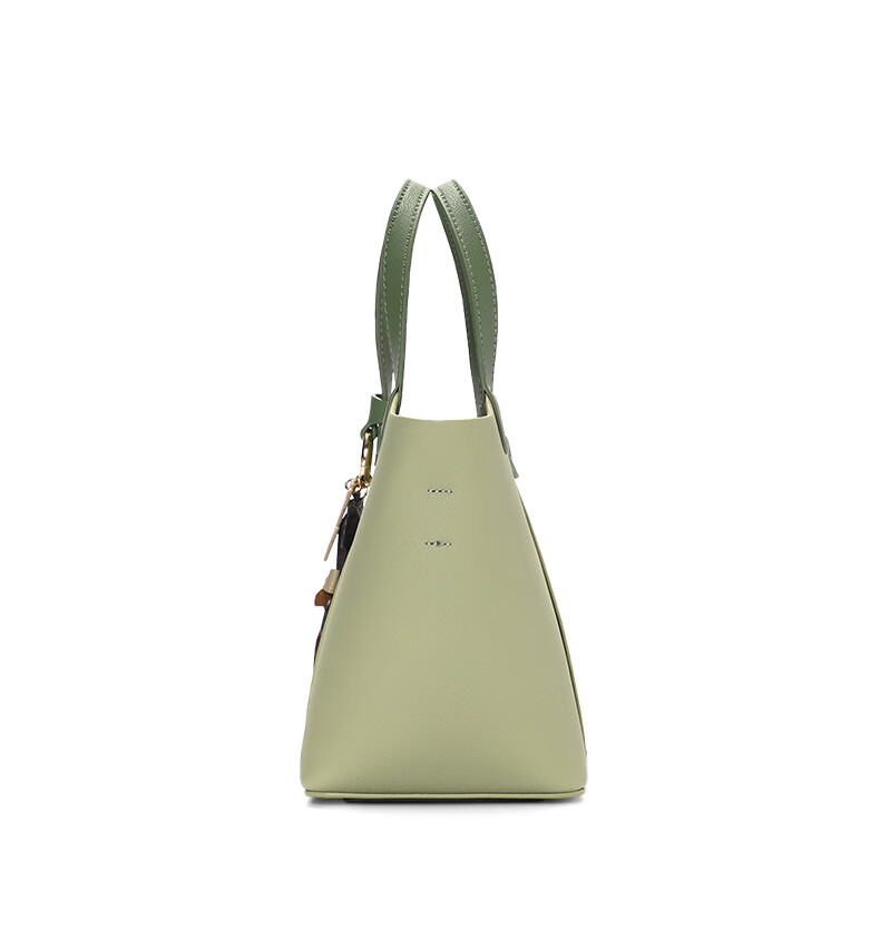 CASSILE Women's Handbag, Bucket Bag, Handheld Vegetable Basket, Light Luxury Tote Bag, Crossbody Bag, 520 Gift for Wife 24