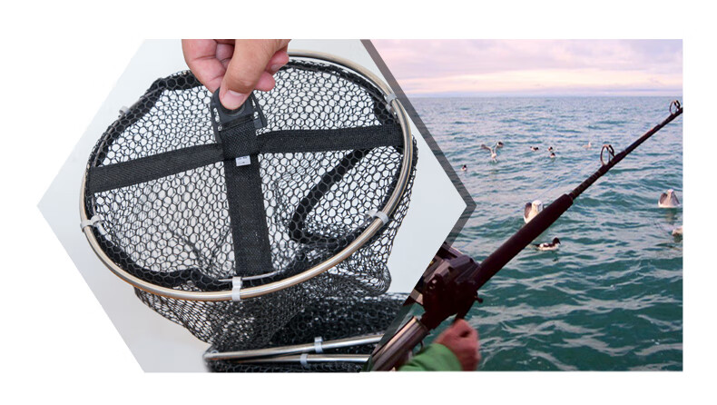 Feimiao Fishing Net, Stainless Steel, Universal Coated Anti-Snag Quick-Drying Fishing Net Accessory for Black Pit Fishing 14