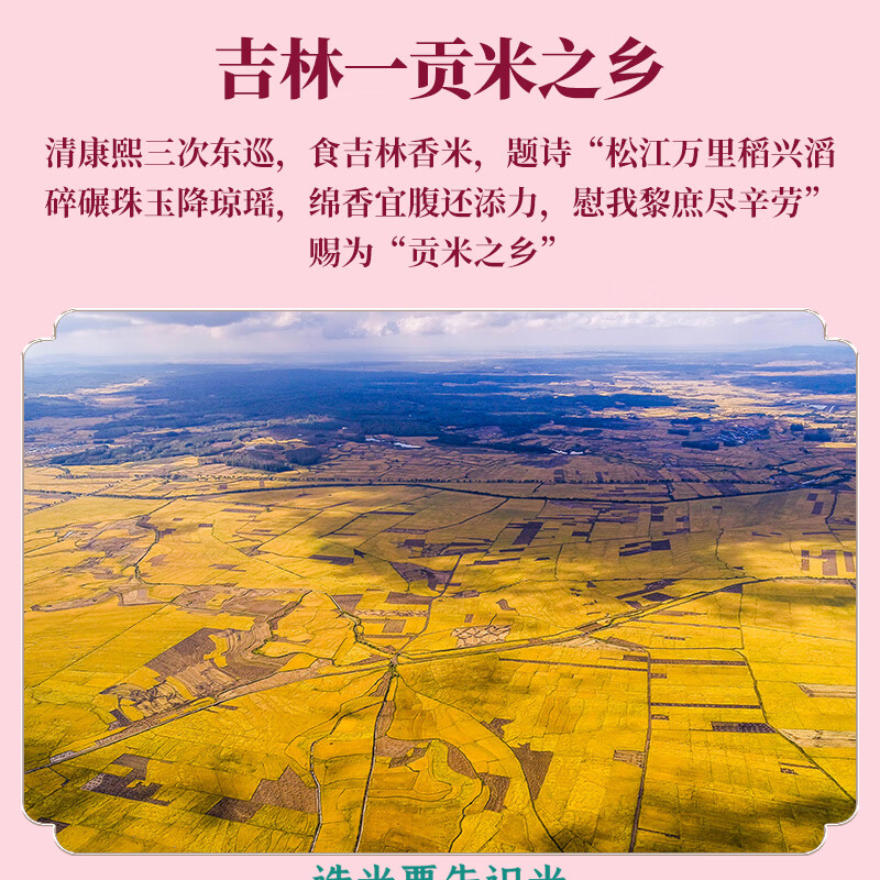 十月稻田 2025年新米 香稻贡米 东北大米 香米 粳米 小包装 2斤