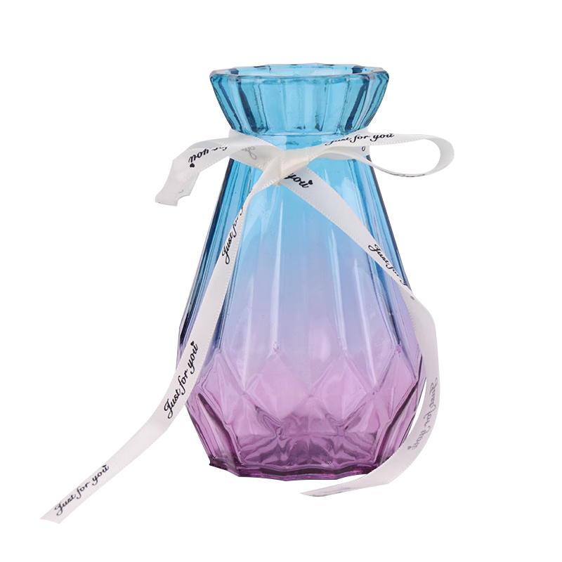 TaTanice Glass Flower Vase Artificial Flower Vase Hydroponic Vase Rose Lily Lucky Bamboo Living Room Decoration