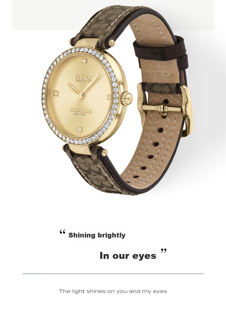 COACH PARK Series, Leather Strap Quartz Women's Watch, 14503456, Gift/giving 6