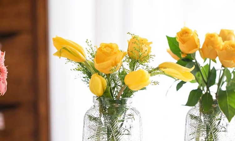 Jidukongjian Glass Vase, Flower Arrangement Vase, Hydroponic Plant Ecological Bottle, Transparent Desktop Vase for Living Room And Office Desk, Home Decor Ornament 2