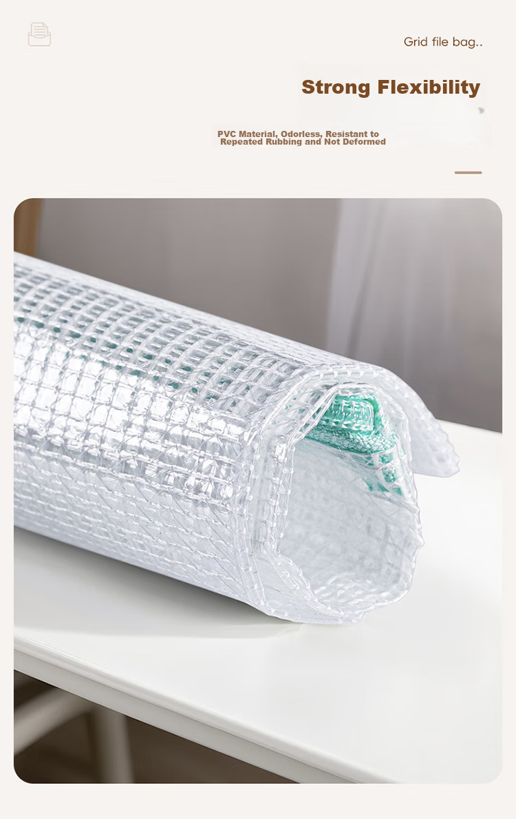 Jinlongxing Mesh Zipper File Bags, Transparent Document Bags, Subject Bags, Pregnancy Check-Up Ticket Storage Bags, File Bags, Homework And Tutoring Bag, Tutoring Bags, Pack of 10 6