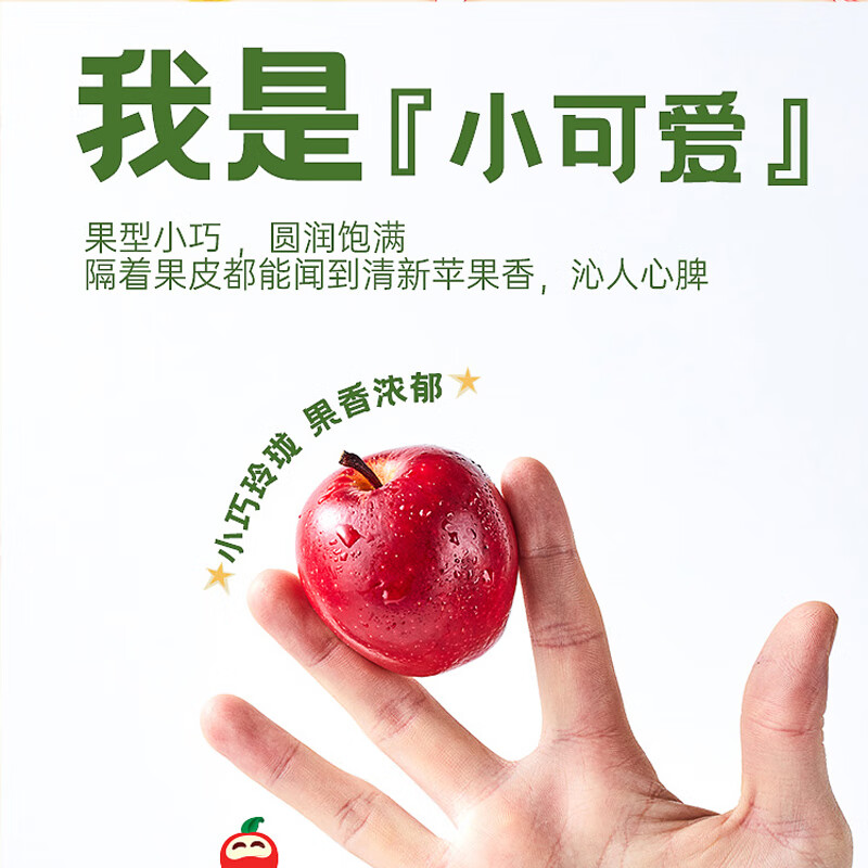 乐淇（ROCKIT） 进口火箭筒苹果3筒大筒礼盒 单筒350g起 5粒/筒 生鲜水果礼盒
