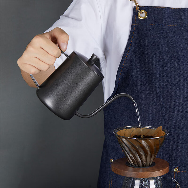 TEOTM Pour-Over Kettle with Narrow Spout, Coffee Maker for Home Use, Drip Coffee Pot with Handle, Fine-Mouthed Kettle Made of 304 Stainless Steel, Black, 600ml