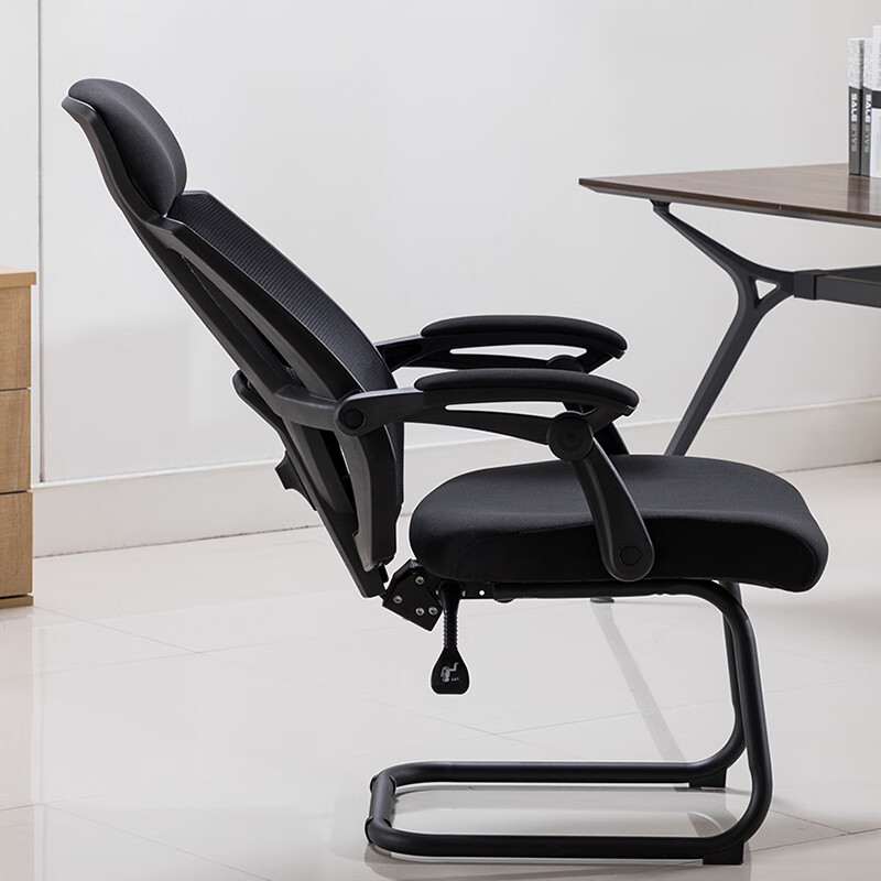BECAUSES Computer Chair for Home Use, Reclining Office Chair, Conference Chair, Study Chair, Comfortable for Long Sitting, Ergonomic Seat 0895B