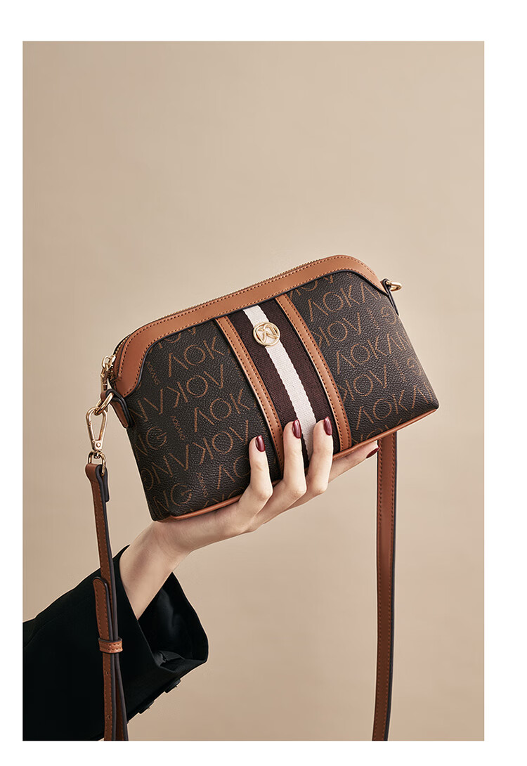 Aokang Women's Handbag, Trendy Retro Small Square Bag, Light Luxury Crossbody Shoulder Bag, Birthday And 520 Gift for Girlfriend Or Wife 8