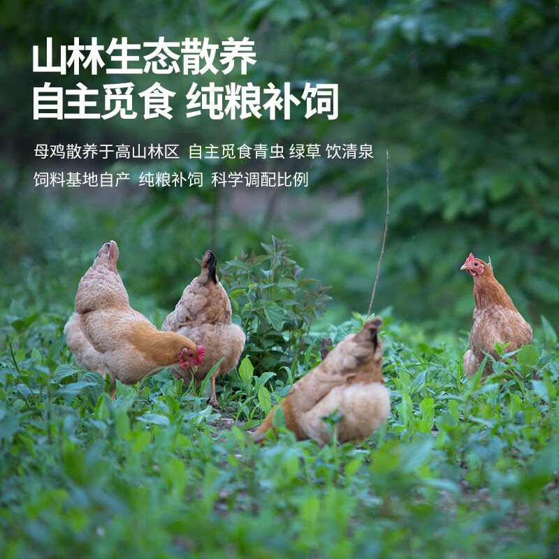 九華粮品散养富硒土鸡蛋30枚 净重3斤  获得富硒认证 鲜鸡蛋 礼盒 自营